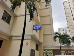 Blk 675A Jurong West Street 64 (Jurong West), HDB 4 Rooms #184877872